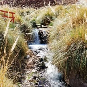 Termas de Puritama