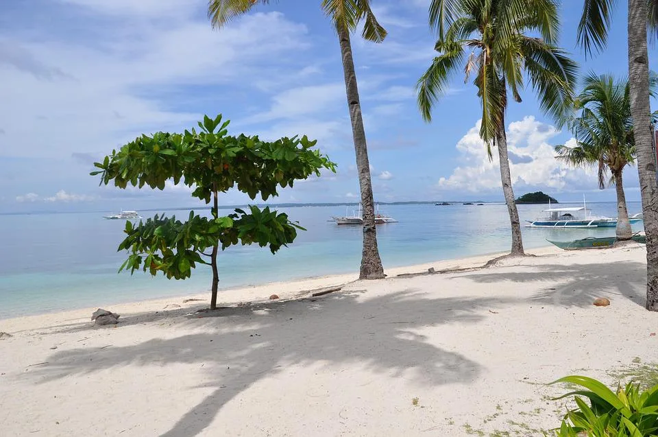 Tailandia- Camboya- Indonesia ASIA TRAVEL 2024 - Foto 4
