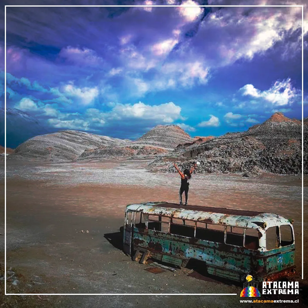 Gira de Estudio Chile & Bolivia : 9 días​ - Foto 4