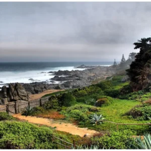 Explorando la Costa, la Artesanía y el Vino: Full Day al Quisco, Pomaire y Viña Undurraga