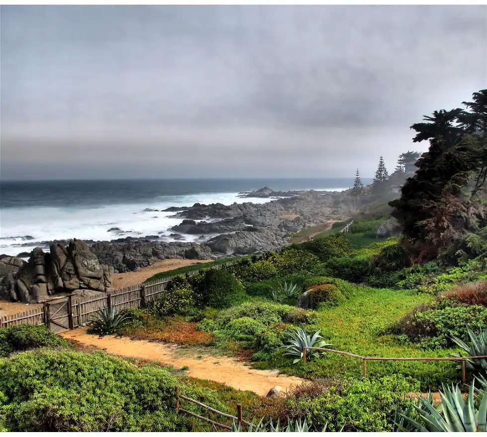 Explorando la Costa, la Artesanía y el Vino: Full Day al Quisco, Pomaire y Viña Undurraga