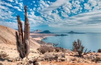 Desierto florido 4 días y 3 noches (Premium) - Foto 3