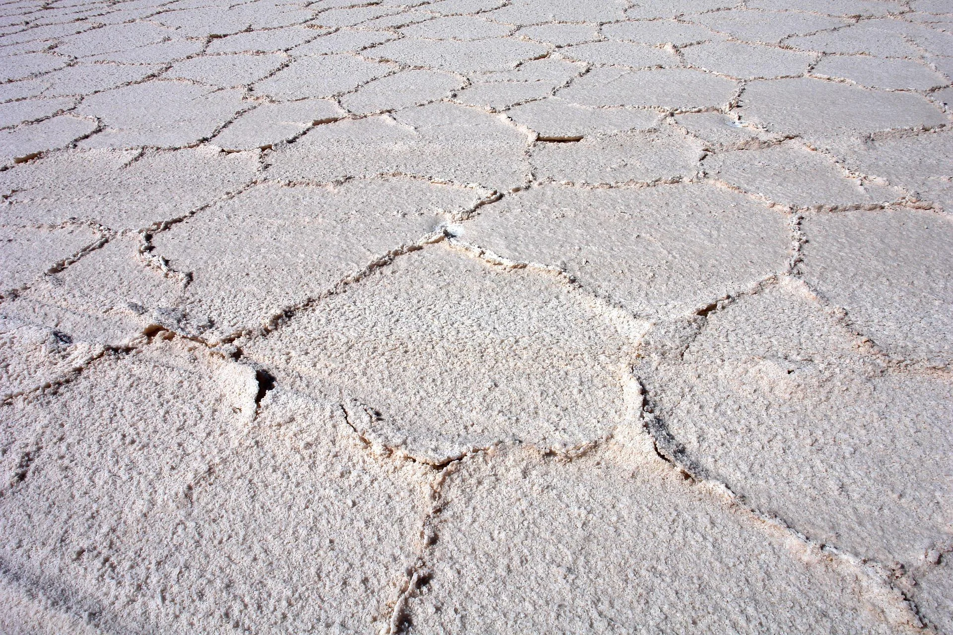 Bolivia / Salar de Uyuni 4 días y 3 noches - Foto 4