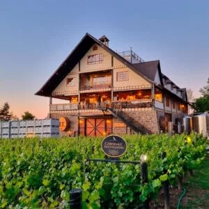 Sabores al Atardecer: Tour Exclusivo por Viña Alyan con Degustaciones y Cena