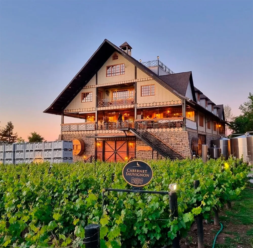 Sabores al Atardecer: Tour Exclusivo por Viña Alyan con Degustaciones y Cena
