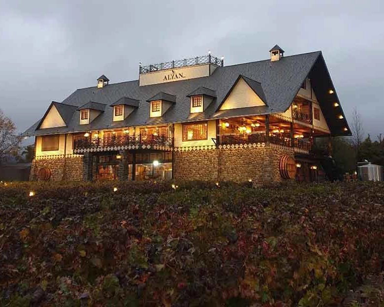 Sabores al Atardecer: Tour Exclusivo por Viña Alyan con Degustaciones y Cena - Foto 2