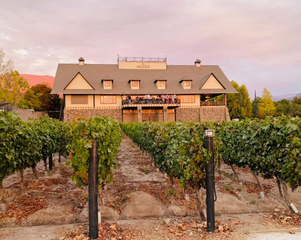 Sabores al Atardecer: Tour Exclusivo por Viña Alyan con Degustaciones y Cena - Foto 4