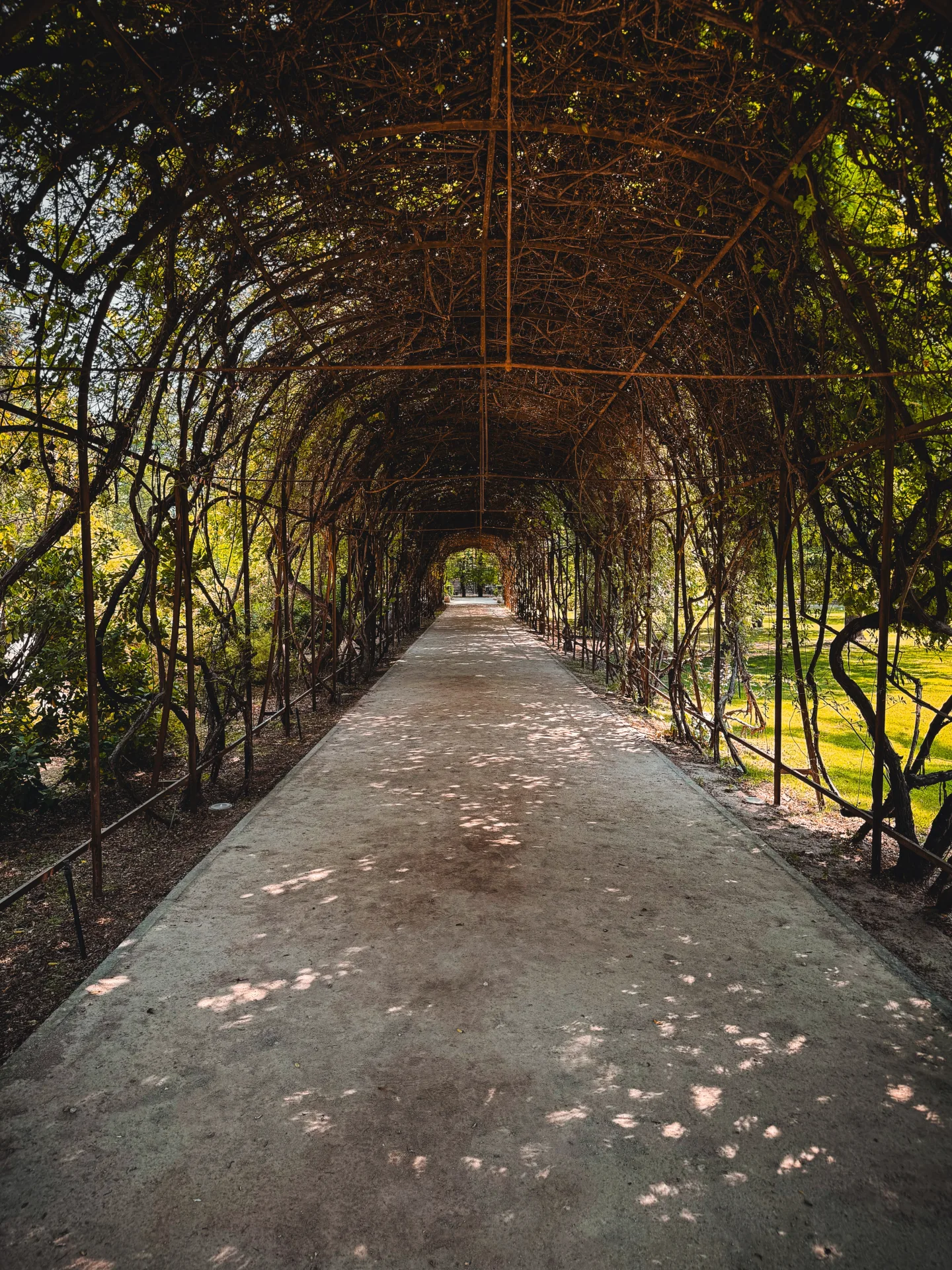 CyberDay : Tour Full Day – Experiencia Viña Santa Cruz - Foto 4