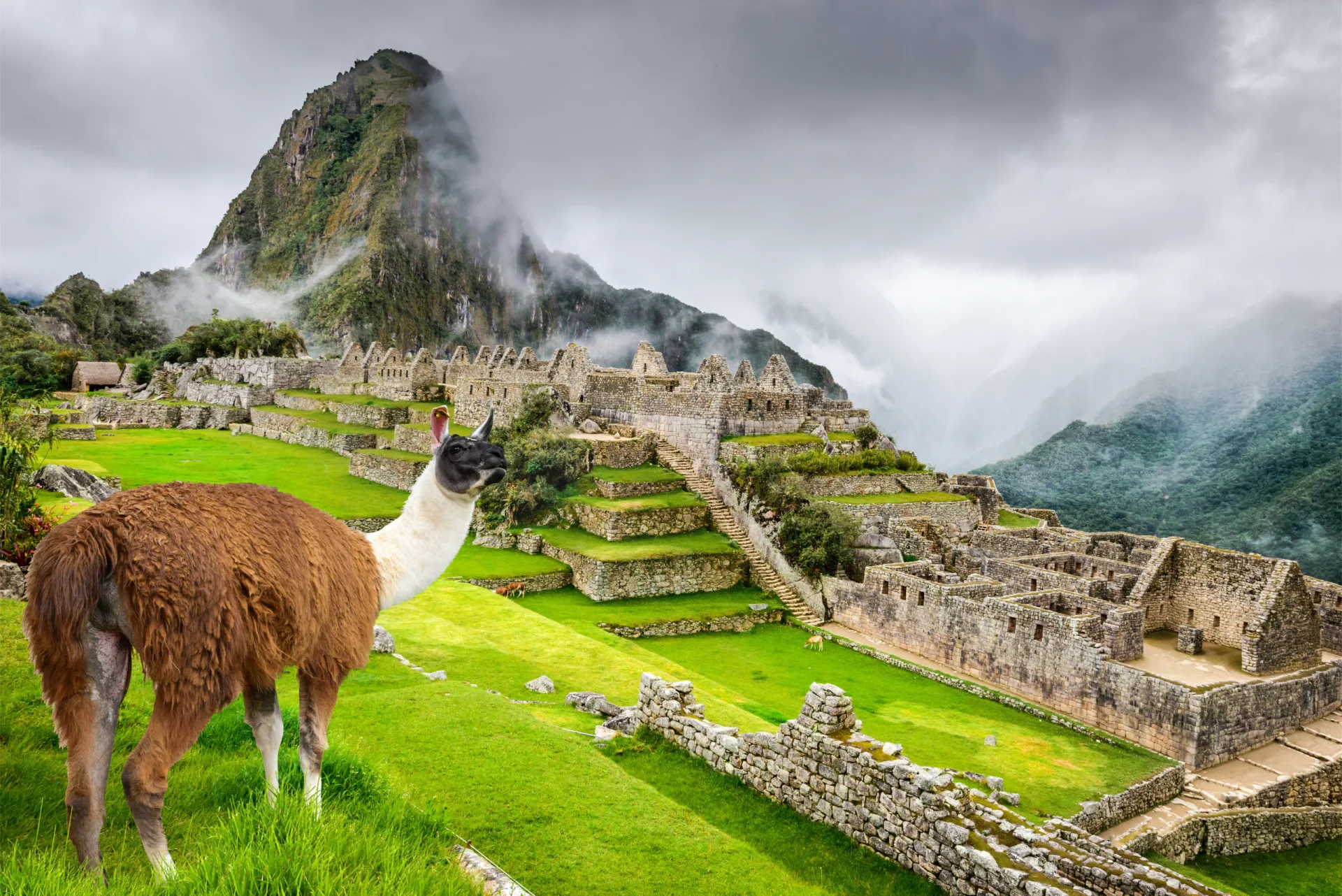 CyberDay : Cusco & Tarapoto: Perú Mágico 11 al 18 de Septiembre 2026 - Foto 3