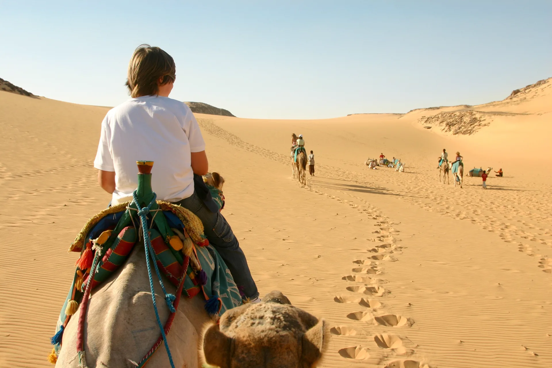 Gira de Estudio Turquía & Egipto  2026