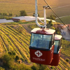 Tour Full Day: Experiencia Viña Santa Cruz